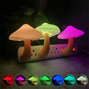 Lamps