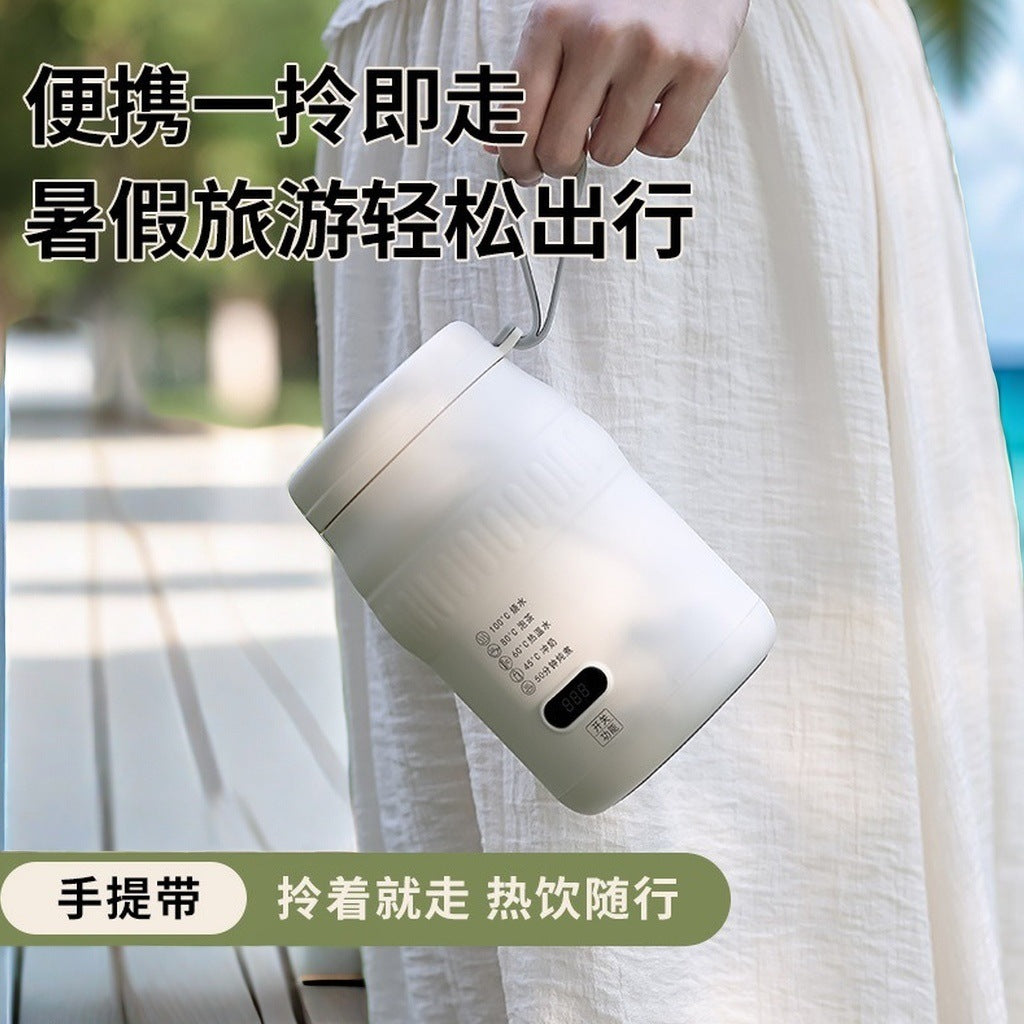 Travel Car Kettle Burning Water Cup Portable Kettle Small Constant Temperature Pot Electric Water Cup Heating Thermos Cup