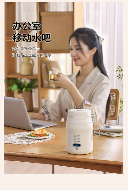 Travel Car Kettle Burning Water Cup Portable Kettle Small Constant Temperature Pot Electric Water Cup Heating Thermos Cup