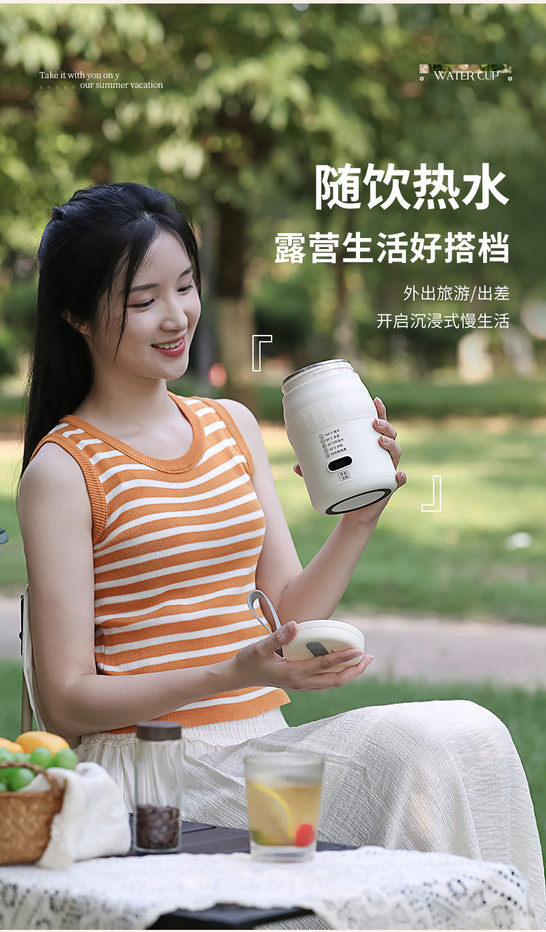Travel Car Kettle Burning Water Cup Portable Kettle Small Constant Temperature Pot Electric Water Cup Heating Thermos Cup