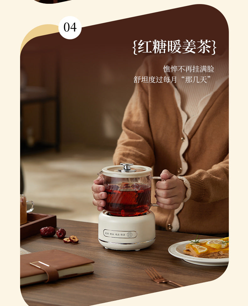 Multi-functional Flower Tea Pot Household Health Pot Mini Glass Boiling Kettle Small Health Cup Gift Electric Stew Cup for Tea